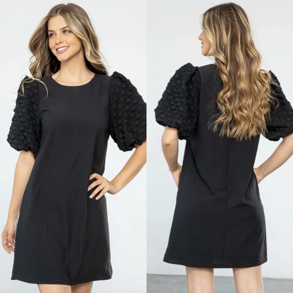 THML Dresses & Skirts - Anthropologie THML Sz S Black Textured Puff Sleeve‎ Romantic Mini Shift Dress